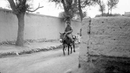 Man riding donkey in road