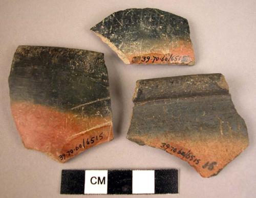 8 potsherds - black and red ware; 2 showing incisions, possibly of "pot-marks"