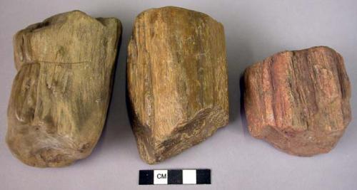 10 single steep-ended hand adzes of fossil wood