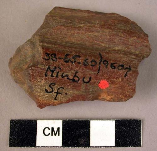 Small, inverse scraper of fossil wood