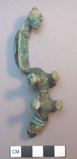 Fibula, anthropomorphic