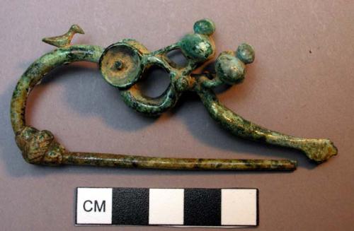 Fibula, dragon