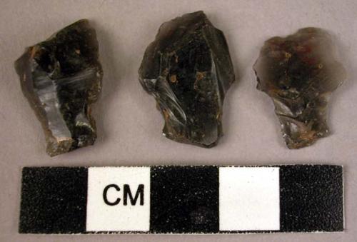 3 small obsidian tanged points