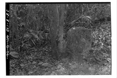 Ball Court, north end, east wall.