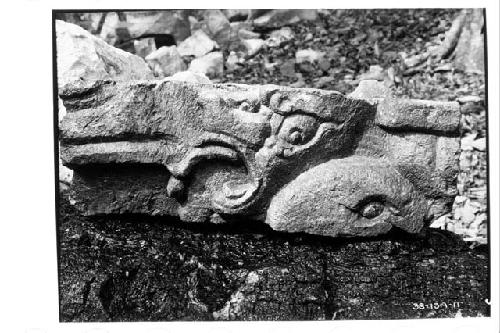 Sculptured stone from debris excavated on west side of Mound II.