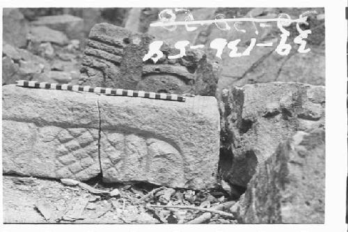 Fragment of panel glyph