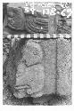 Fragment of panel glyph