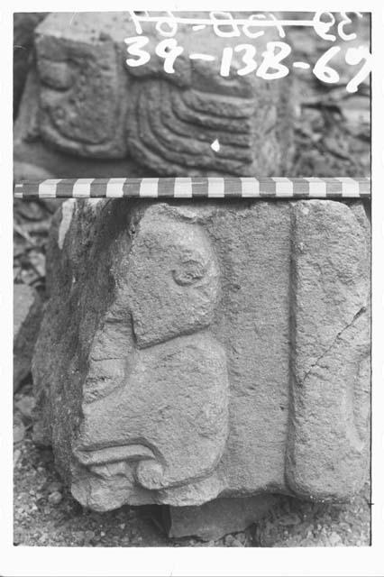 Fragment of panel glyph