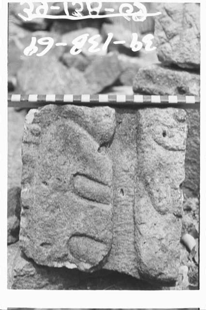 Fragment of panel glyph