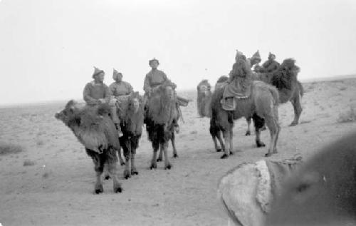 People wearing pointed hats riding camels