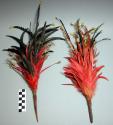 Feather head ornaments
