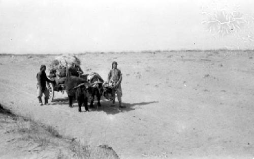 People leading oxen pulling cart