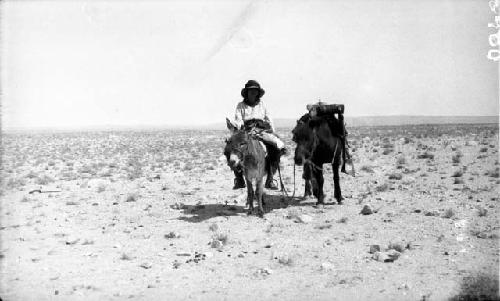 Person with two donkeys in desert