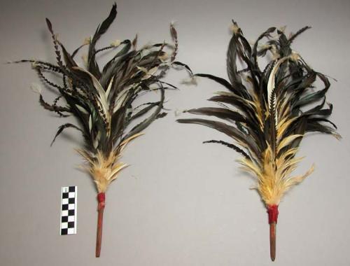 Feather head ornament