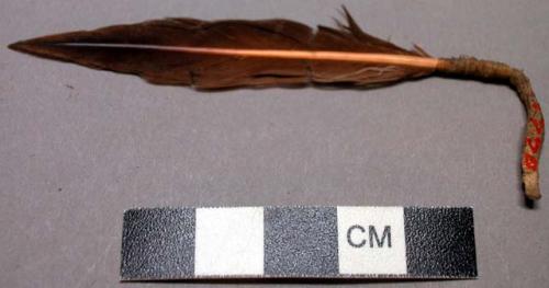 Feather, sinew-wrapped