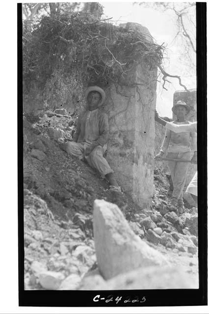 NE colonnade - showing the roots on top of column