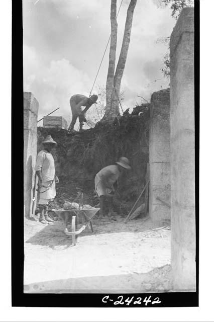 NE colonnade - excavations at E. end showing tree on top looking N