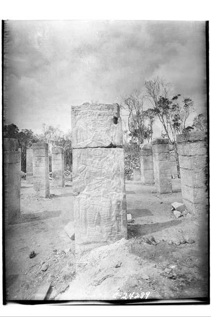 Column 4 at Northeast Colonnade