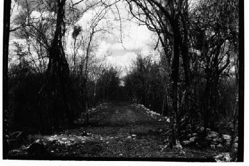 Via Sacra, looking N to Cenote