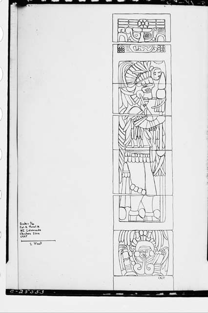 Drawing of Column 2 at Northeast Colonnade