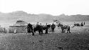 People and ponies by huts in desert