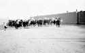 People and camels carrying packs outside of building