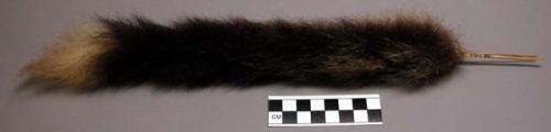 Plumes, possibly of cous-cous fur, used on top of daily headpiece