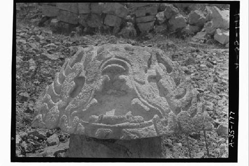 Serpent head from molding of room 2, Structure 2C6 (Casa 1)