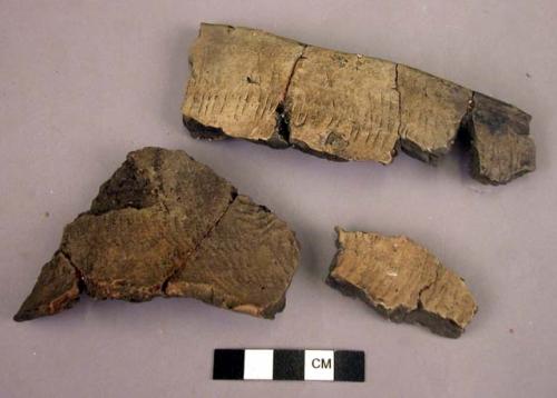 Ceramic rim and body sherds, stamped, mended