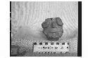 Fragmentary Ceramic Tlaloc Head