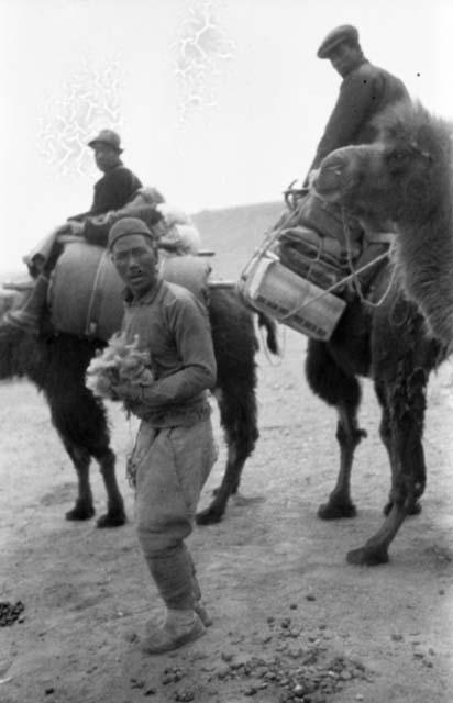 People and camels in desert