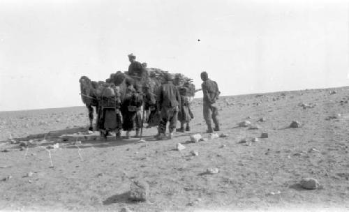 People and camels in desert