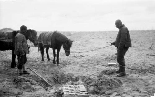 People leading ponies in desert