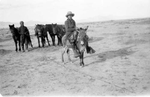 Woman on donkey by man with ponies