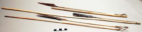 5 Arrow shafts with feathers, bamboo