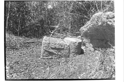 Ball Court - closer view of 1/2 quarried serpent head about 400 ft W of S Temple