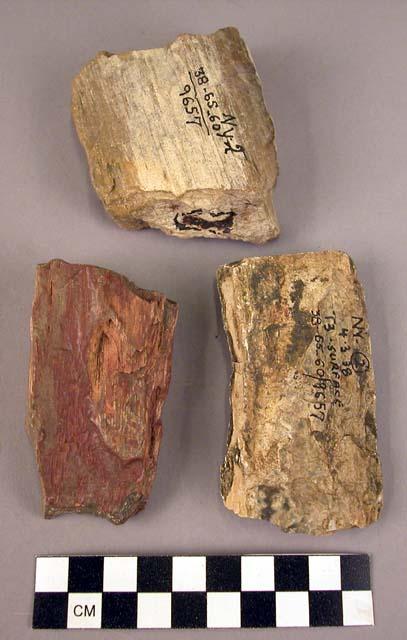 3 small hand adzes or large end scrapers of fossil wood