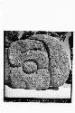 Carved stone parrot head, left side.  From Altar A.  Md. 1-N. cf. photo 9, 10, 1