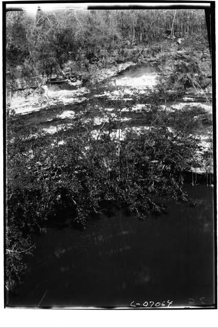 Sacred Cenote in 1904