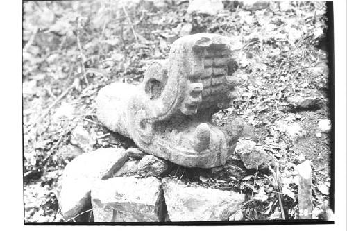 Serpent head, stone, near Middle Ball Court