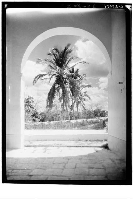 Archway, Hacienda. Palm trees seen through S. arch, E. corridor