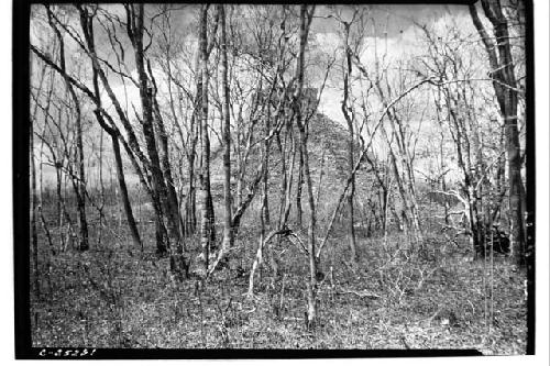 Castillo, taken thru forest, right of Via Sacra, after hail storm; from N-NE