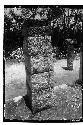 Left column at the Temple of Xtoloc Cenote