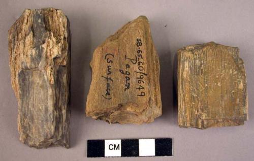 3 small hand adzes or end scrapers of fossil wood