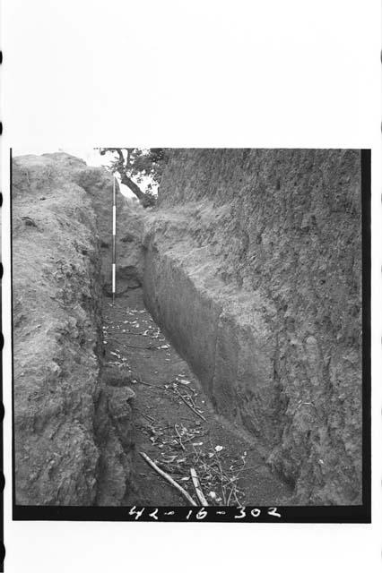 Lower 2/3 of cornice terrace, showing broken line and vertical molding.