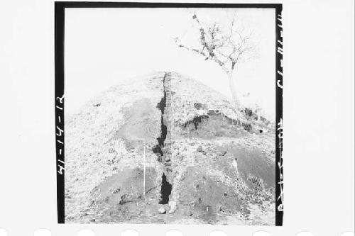 Mound 1-E, trench dug in 40 season as cleaned at beginning of 41 season.