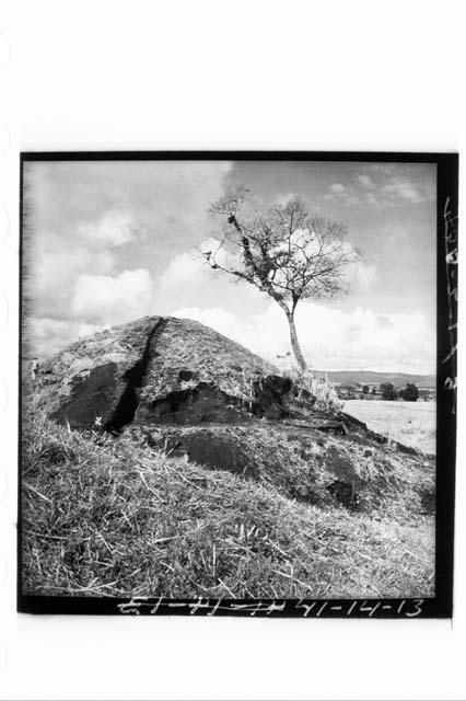 Mound 1 NE from stake N66.12E (N side of Md. 2) looking SW (levelled).  cf. 14 a