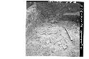 Potsherds on concrete floor in sect. N57-58.5E, from N. Mound 2-S. (Struct. 1C)