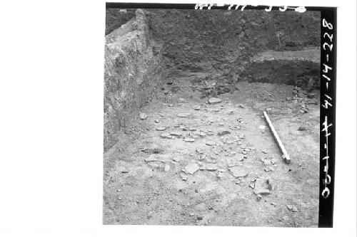 Potsherds on concrete floor in sect. N57-58.5E, from N. Mound 2-S. (Struct. 1C)