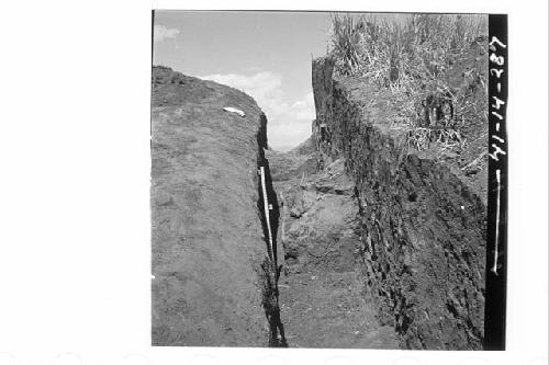 Terrace 3 (Ph. III) as discovered.  From N74.20E looking W at SE corner.  Md. 3-